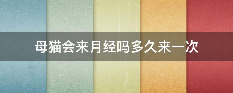 母猫会来月经吗多久来一次（母猫会来月经吗 多久来一次）