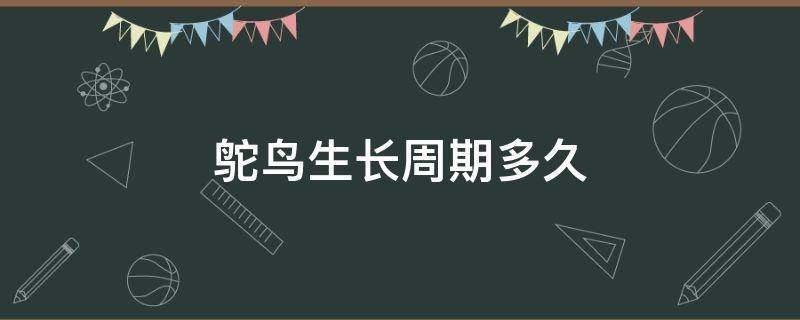 鸵鸟生长周期多久 鸵鸟的成长周期