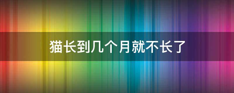 猫长到几个月就不长了（一般猫长到几个月就不长了）