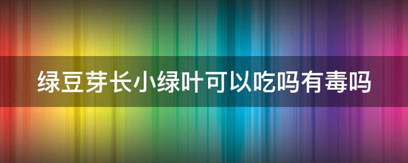 绿豆芽长小绿叶可以吃吗有毒吗（绿豆芽长小绿叶可以吃吗有毒吗视频）