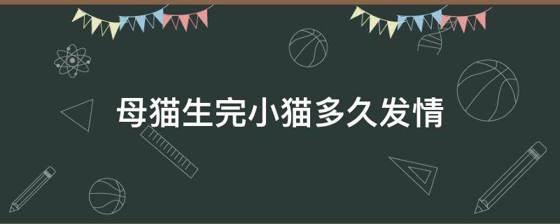 母猫生完小猫多久发情（母猫生完小猫多久会出窝）