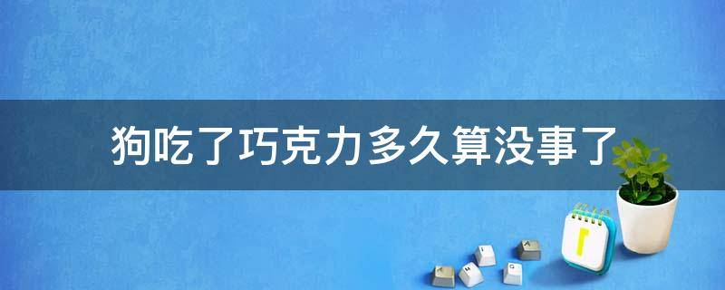 狗吃了巧克力多久算没事了（狗吃完巧克力没事）