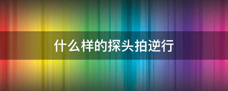 什么样的探头拍逆行（单行道逆行探头什么样）