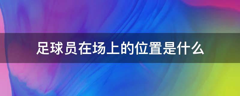 足球员在场上的位置是什么（球员场上位置分为）