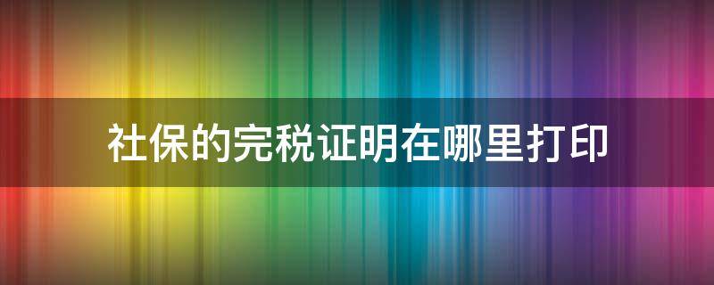 社保的完税证明在哪里打印（社保费缴纳完税证明怎么打印）