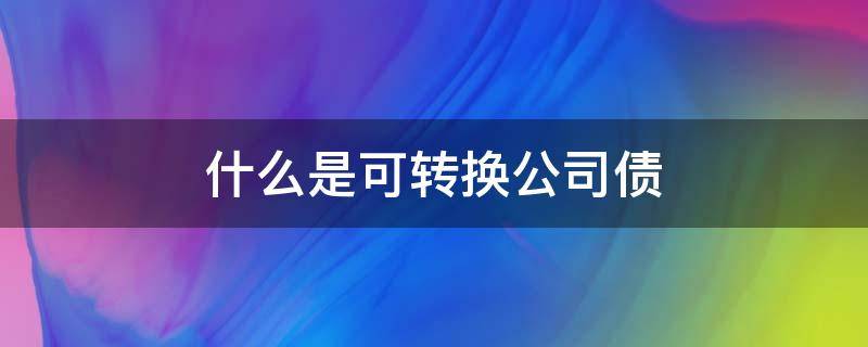 什么是可转换公司债 什么是可转换公司债券,有哪些基本因素