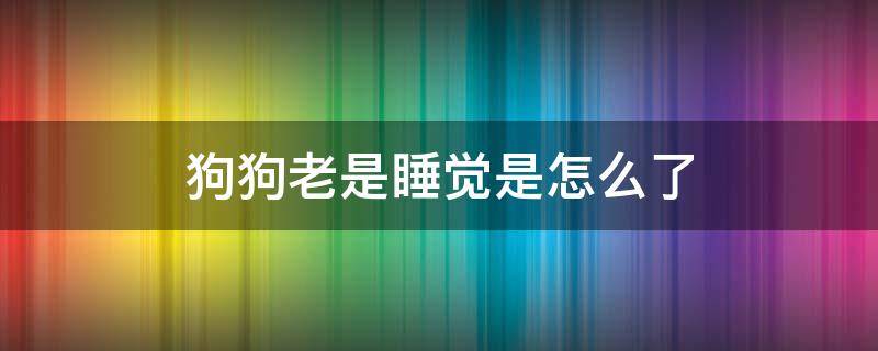 狗狗老是睡觉是怎么了 狗狗老是睡觉是什么原因