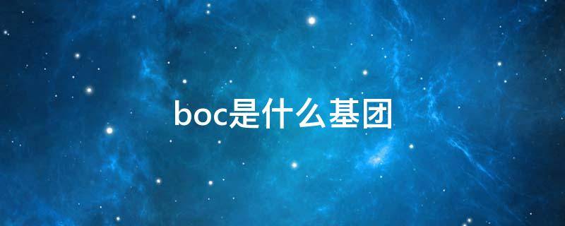 boc是什么基团（Bn是什么基团）