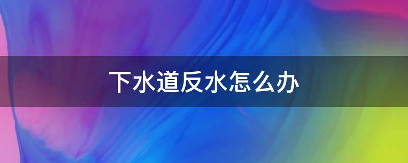 下水道反水怎么办（下水道反水怎么办妙招）