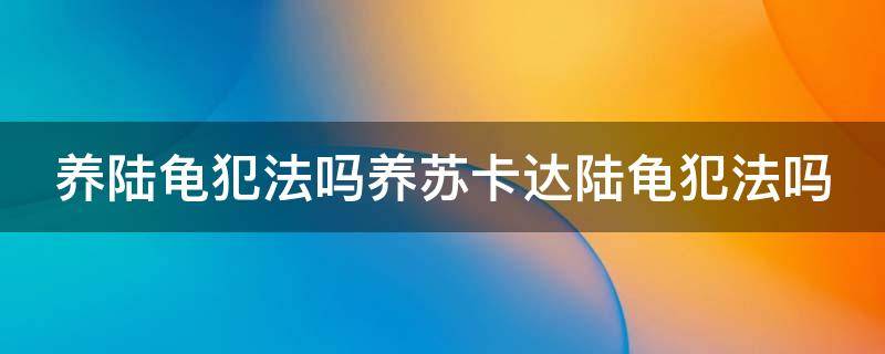 养陆龟犯法吗养苏卡达陆龟犯法吗