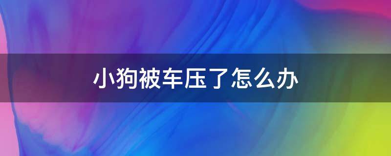 小狗被车压了怎么办 小狗被车压了怎么办,没有受伤