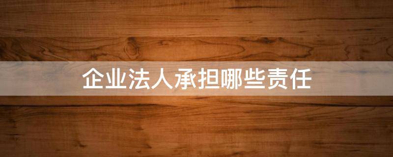 企业法人承担哪些责任 企业法人都承担什么法律责任