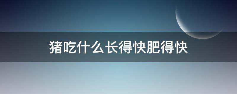 猪吃什么长得快肥得快（猪吃什么长得快肥得快的青菜）