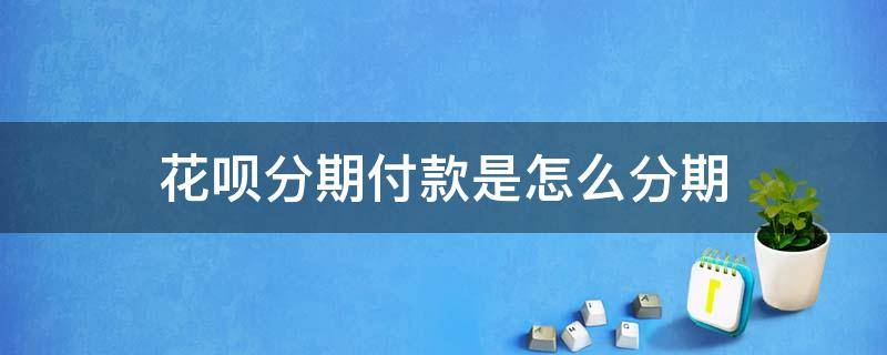 花呗分期付款是怎么分期 花呗分期付款是怎么分期12期