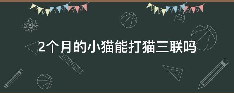 2个月的小猫能打猫三联吗 2个月的小猫可以打猫三联不