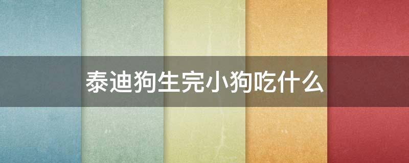 泰迪狗生完小狗吃什么 泰迪狗生完小狗应该吃什么