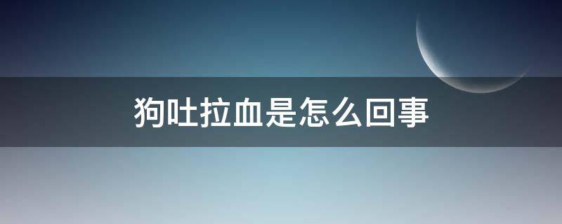 狗吐拉血是怎么回事（狗拉血吐是怎么回事儿）