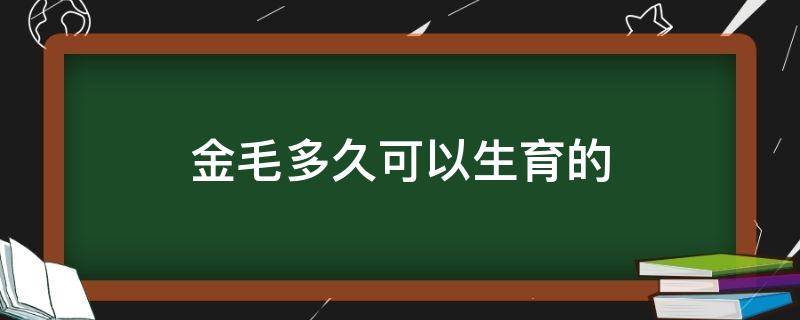 金毛多久可以生育的（金毛犬多久能生育）