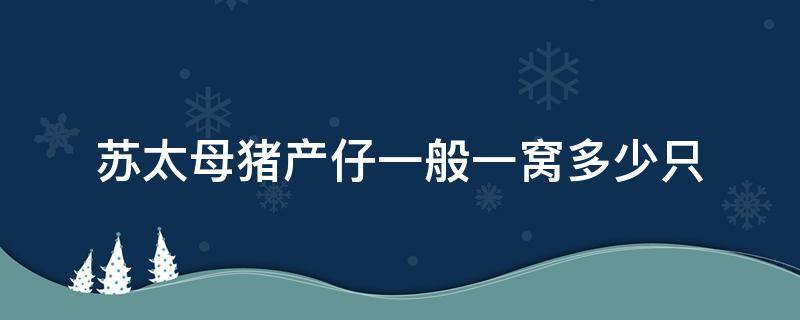 苏太母猪产仔一般一窝多少只（苏太母猪怀孕多少天下仔）