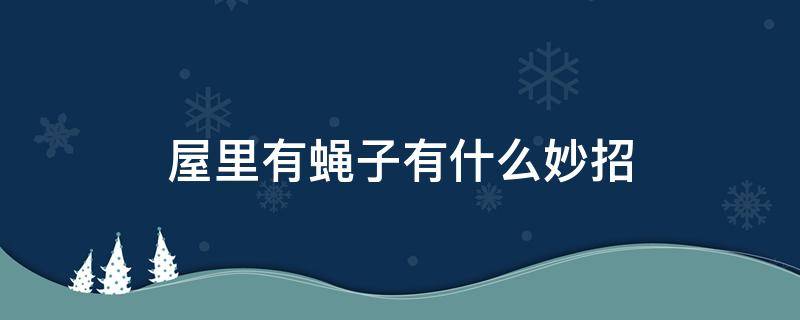 屋里有蝇子有什么妙招 屋内有蝇子怎么办