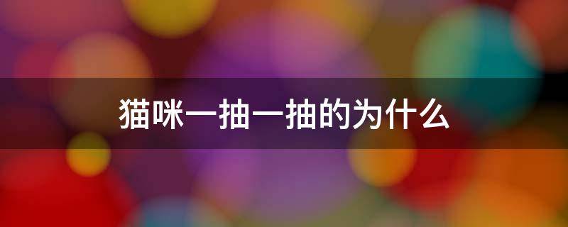 猫咪一抽一抽的为什么 猫咪一抽一抽的是为什么