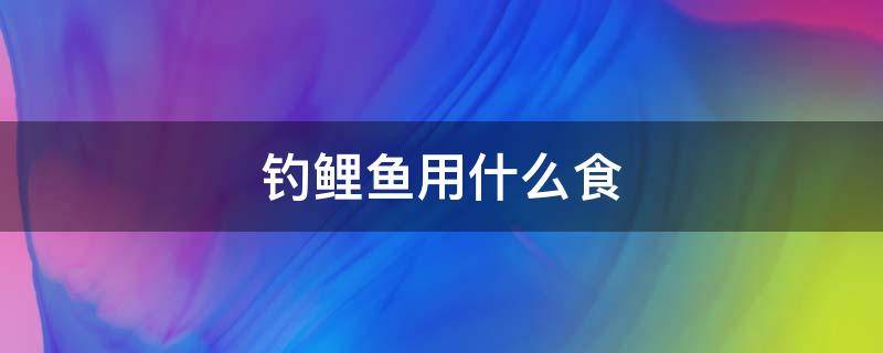 钓鲤鱼用什么食 钓鲤鱼用什么食物