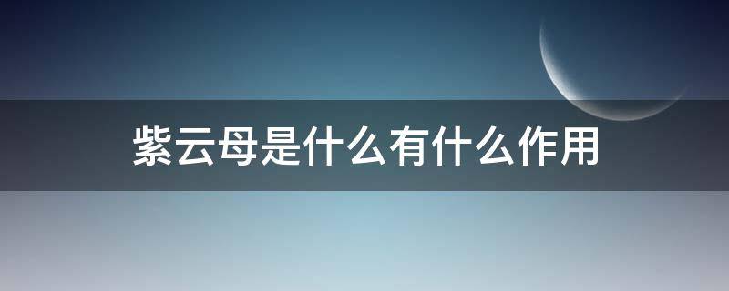 紫云母是什么有什么作用 紫云母的功效与作用百度百科