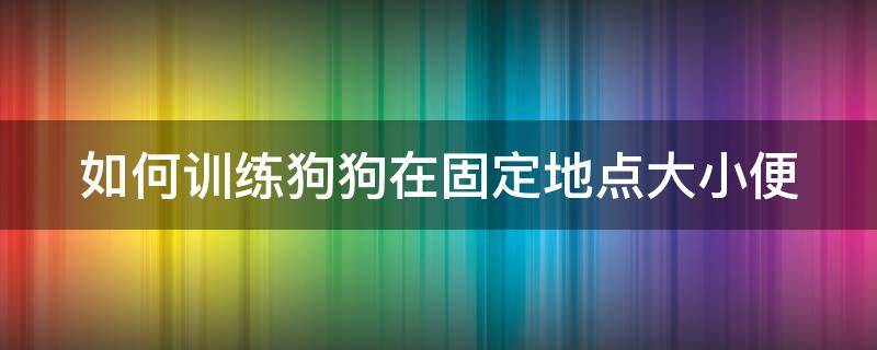 如何训练狗狗在固定地点大小便 如何训练狗狗在固定地点大小便知乎