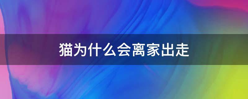 猫为什么会离家出走 怀孕的母猫为什么会离家出走