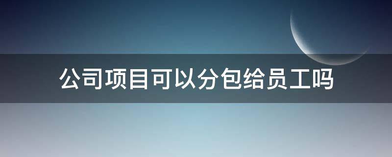 公司项目可以分包给员工吗 建筑项目可以分包给分公司吗