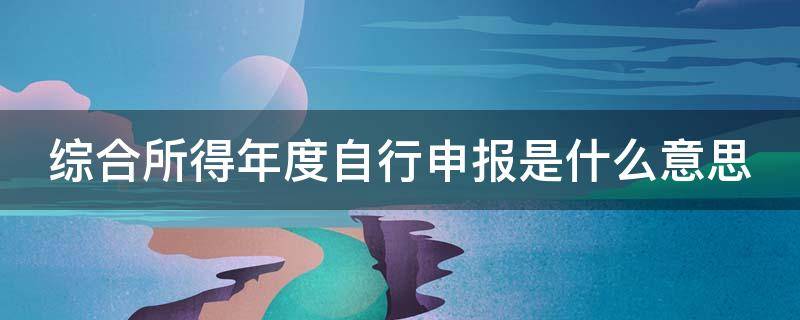 综合所得年度自行申报是什么意思（赡养老人综合所得年度自行申报是什么意思）