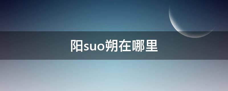 阳suo朔在哪里