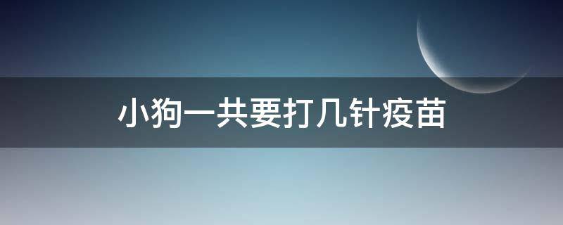 小狗一共要打几针疫苗 小狗一共要打几针疫苗都是什么