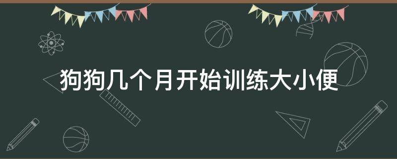 狗狗几个月开始训练大小便 小狗几个月可以开始训练大小便