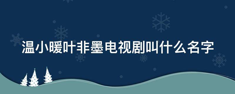 温小暖叶非墨电视剧叫什么名字 温小暖和叶非墨的小说