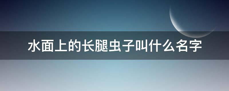 水面上的长腿虫子叫什么名字（水面上四条腿的虫子叫什么）