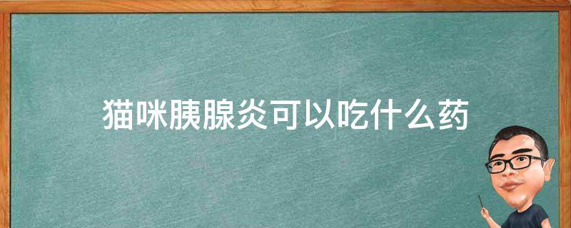 猫咪胰腺炎可以吃什么药 猫咪胰腺炎吃药能好么