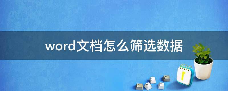 word文档怎么筛选数据 word文档怎样筛选数据