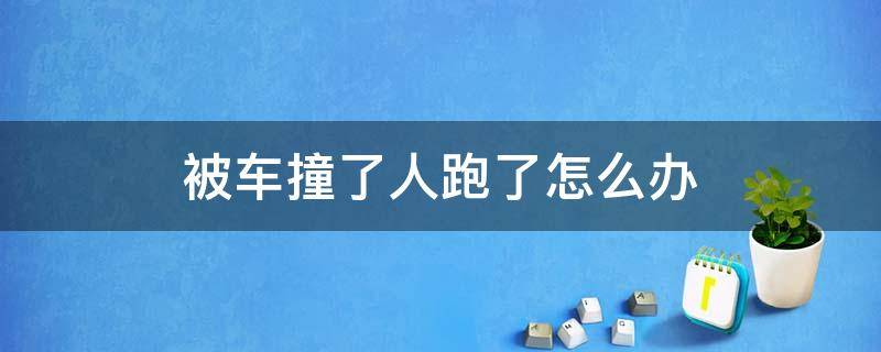 被车撞了人跑了怎么办 人被车撞了车跑了怎么处理