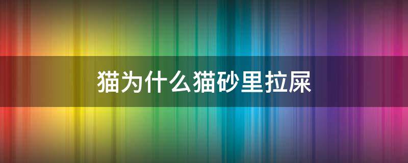 猫为什么猫砂里拉屎（猫咪为什么喜欢在猫砂里拉屎）