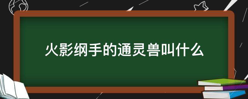 火影纲手的通灵兽叫什么 纲手通灵兽怎么读