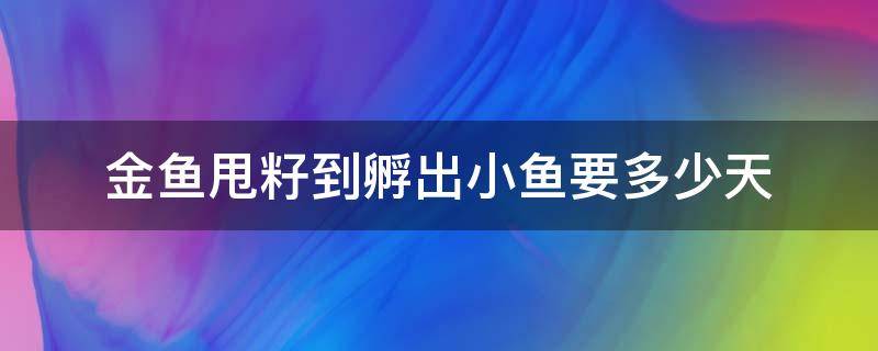 金鱼甩籽到孵出小鱼要多少天（金鱼甩籽要几个小时才能甩完）