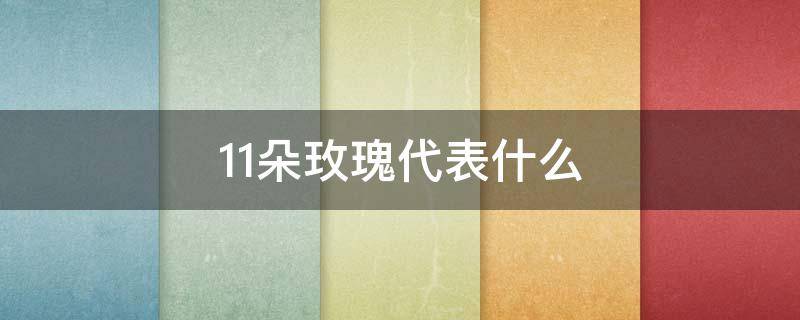 11朵玫瑰代表什么（9朵玫瑰代表什么）