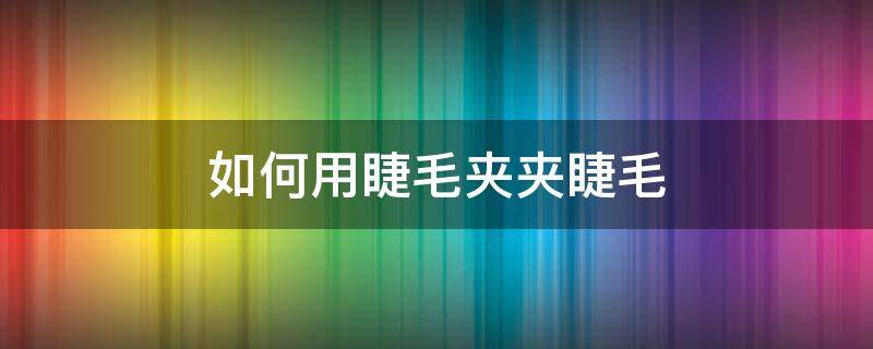 如何用睫毛夹夹睫毛（如何用睫毛夹夹睫毛尾部）