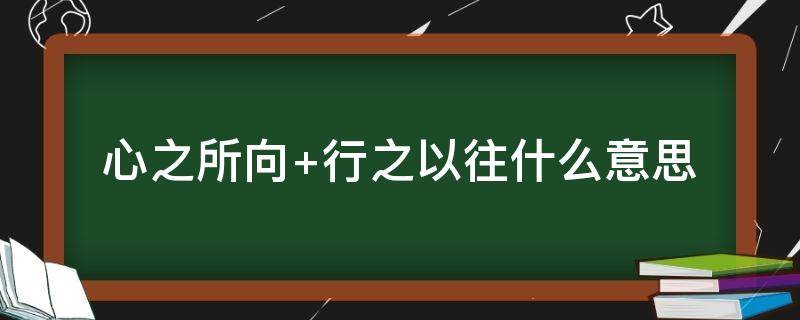 心之所向 心之所向下一句是什么