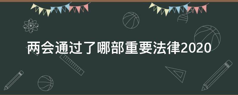 两会通过了哪部重要法律2020 2020两会出台的法律