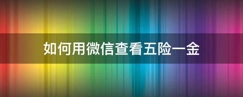 如何用微信查看五险一金（怎么用微信查看自己的五险）