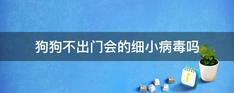 狗狗不出门会的细小病毒吗 狗狗细小病毒会不会传染