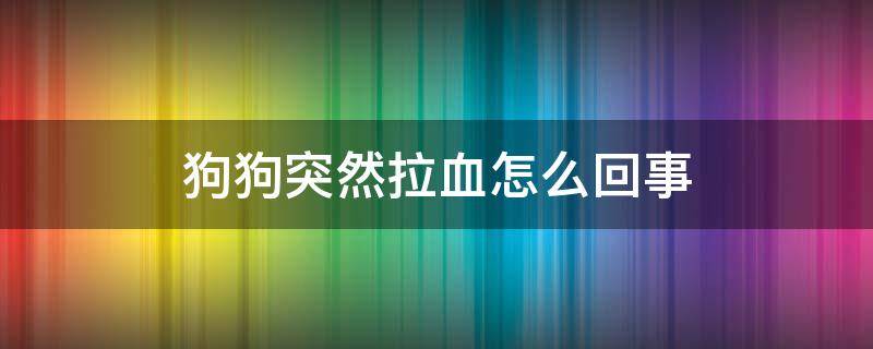 狗狗突然拉血怎么回事 狗狗突然拉血是怎么回事