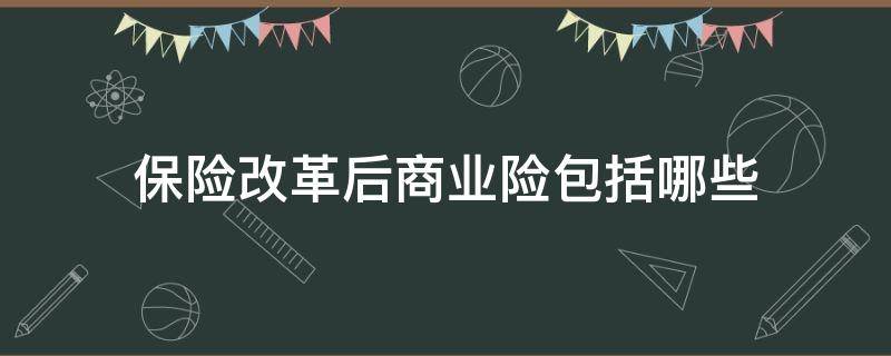 保险改革后商业险包括哪些（保险改革后商业险包含什么）